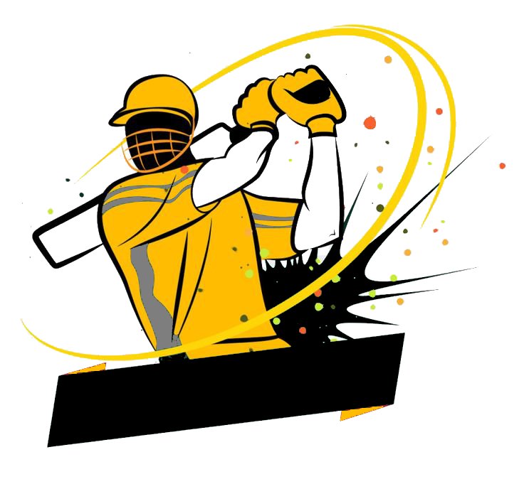 cricket image